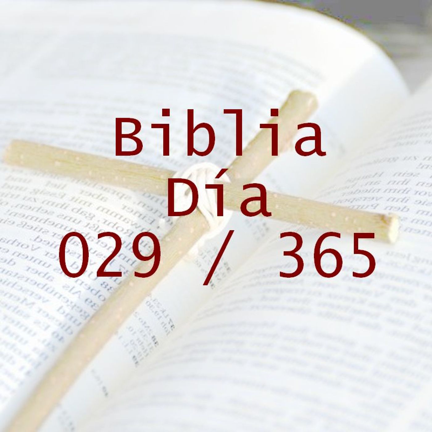 La Biblia en 365 dias