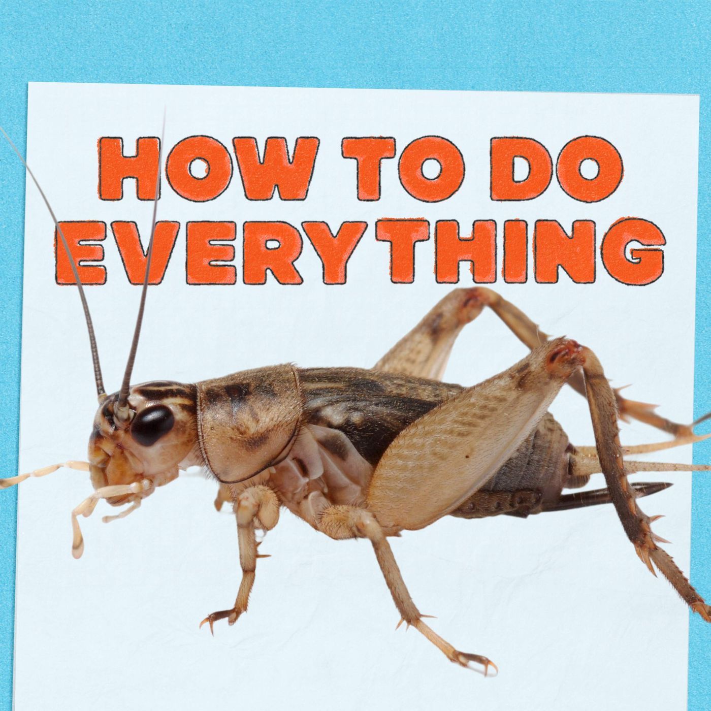 The Truth Is Only One