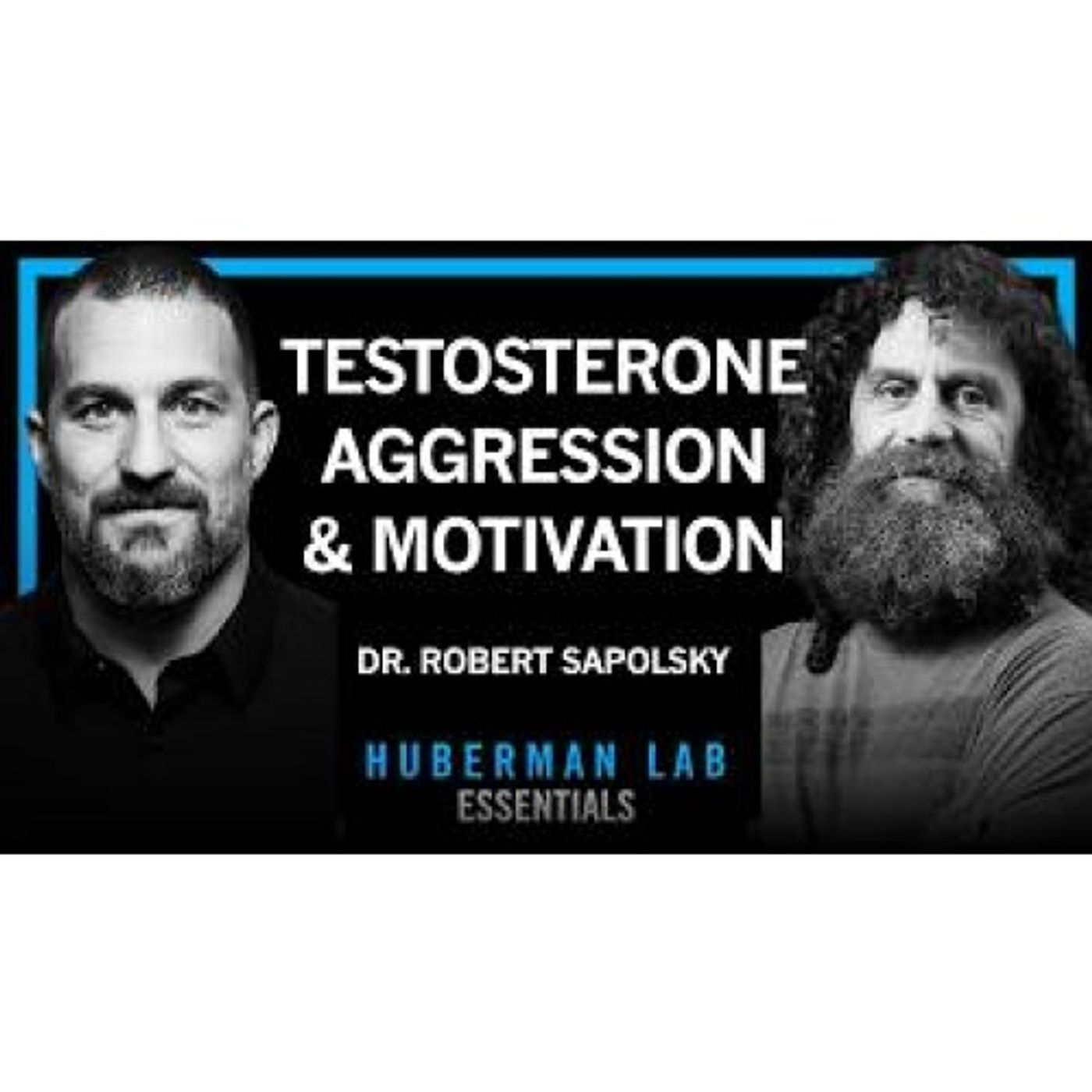 Essentials_ Science of Stress, Testosterone, Aggression & Motivation _ Dr. Robert Sapolsky