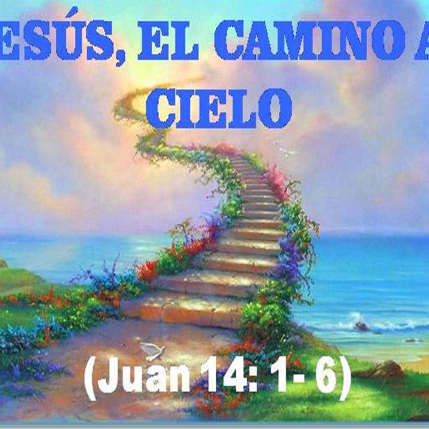 ESTAMOS EN EL CAMINO CORRECTO