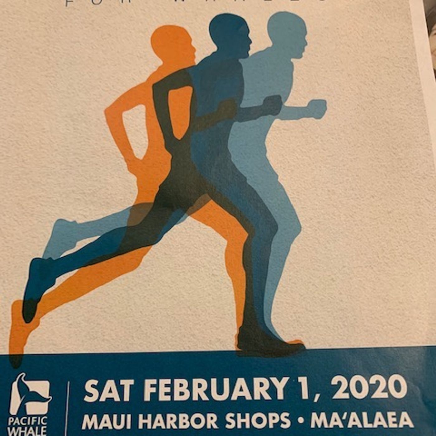 The Cindy Paulos Show