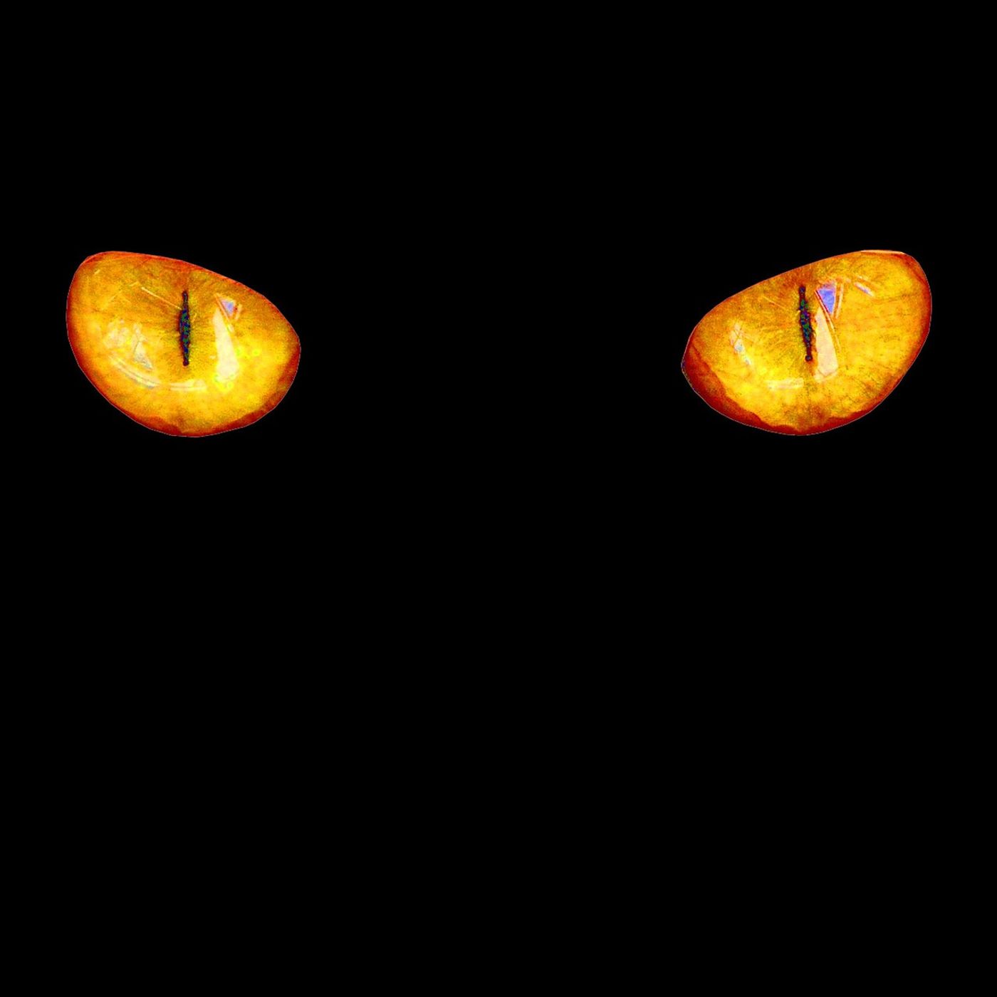 Gatto nero .numero 13  ...i segnali premonitori dal medio evo  in cui si crede anche oggi episode artwork