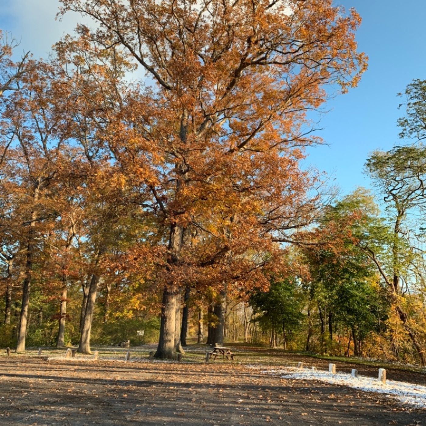 Prayer on the Go! - with Bishop Deb