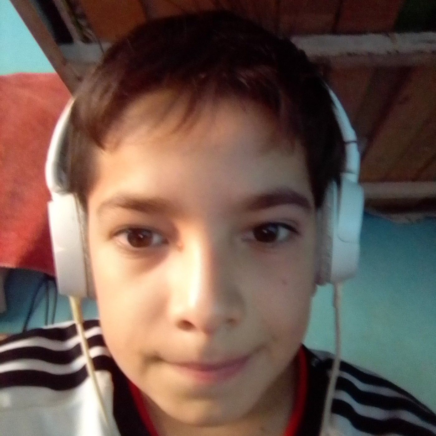 BUTISTA