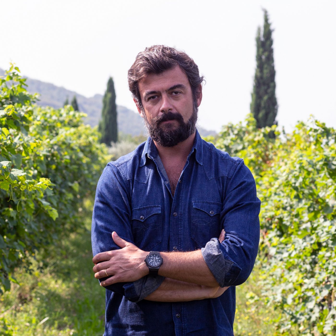 Maestri del vino italiano