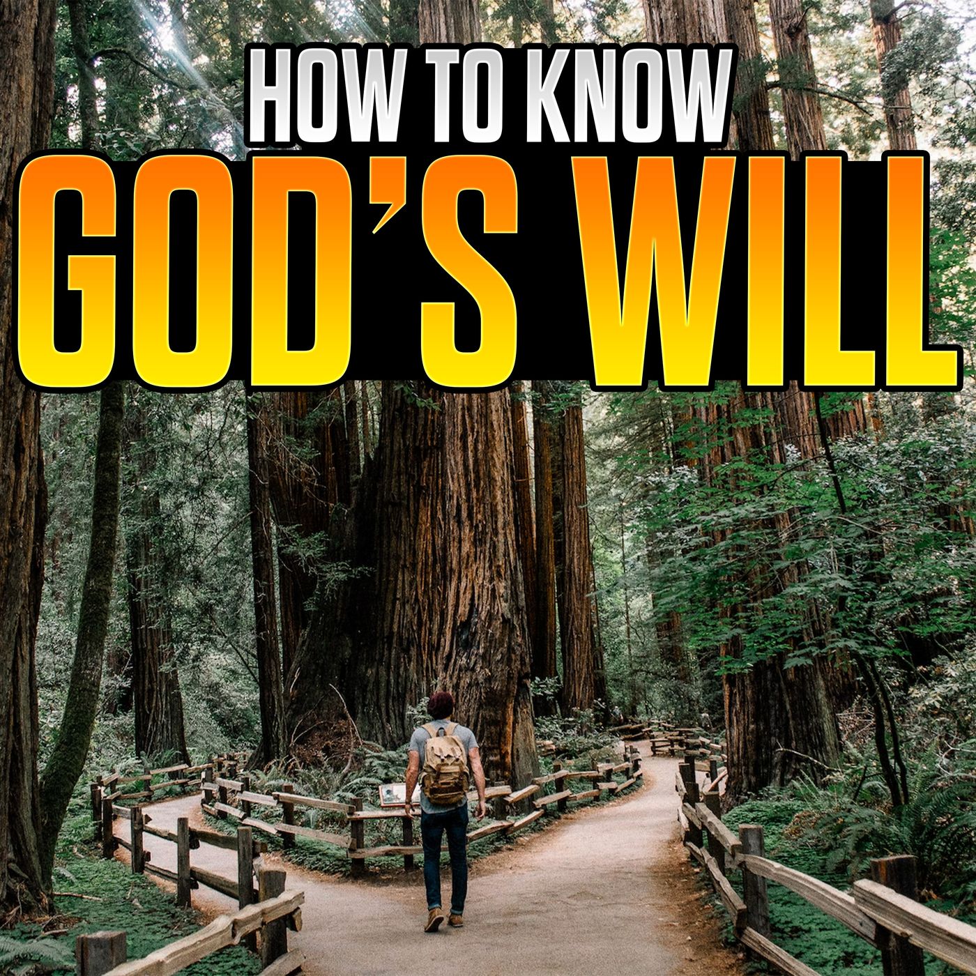 8 Tips to Know God's Will in Every Situation