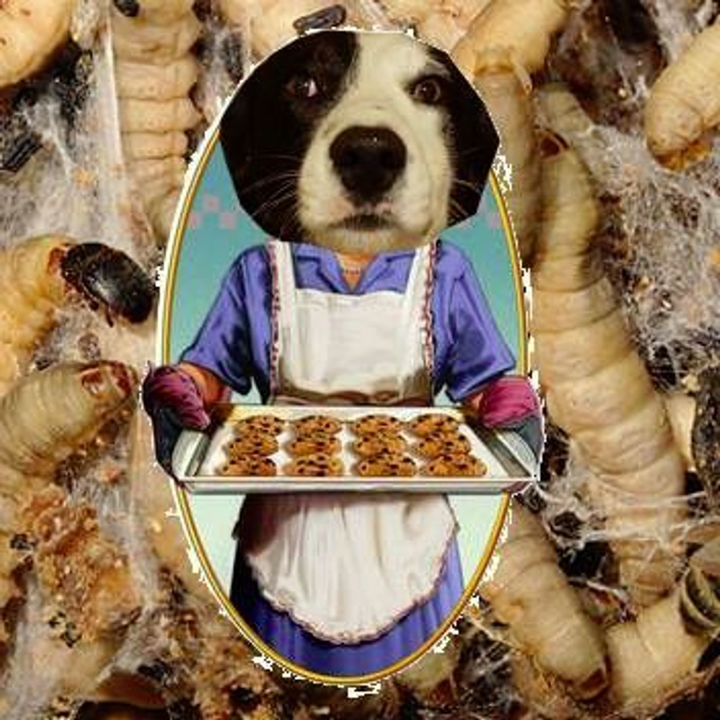 e026 - Grandma Biff's Old Fashioned Insect Cookies (Top 5 Bugs/Insects)