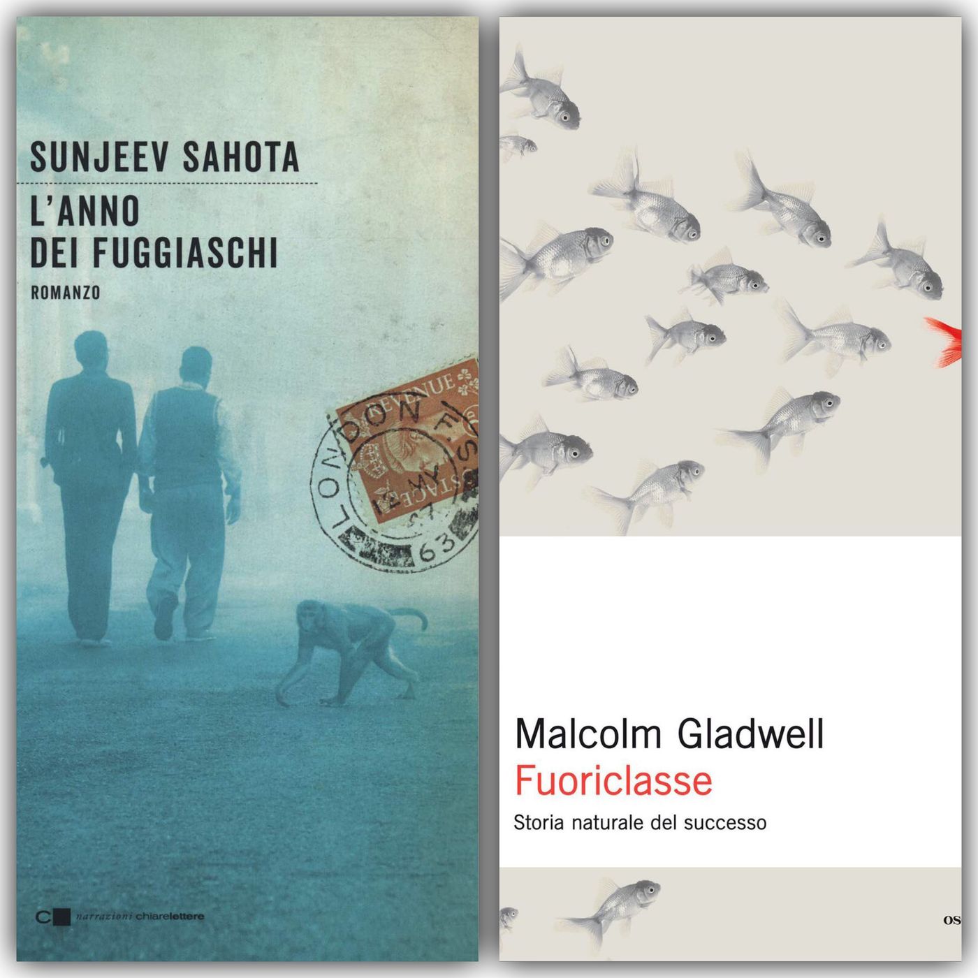 Archivio: Bookblister
