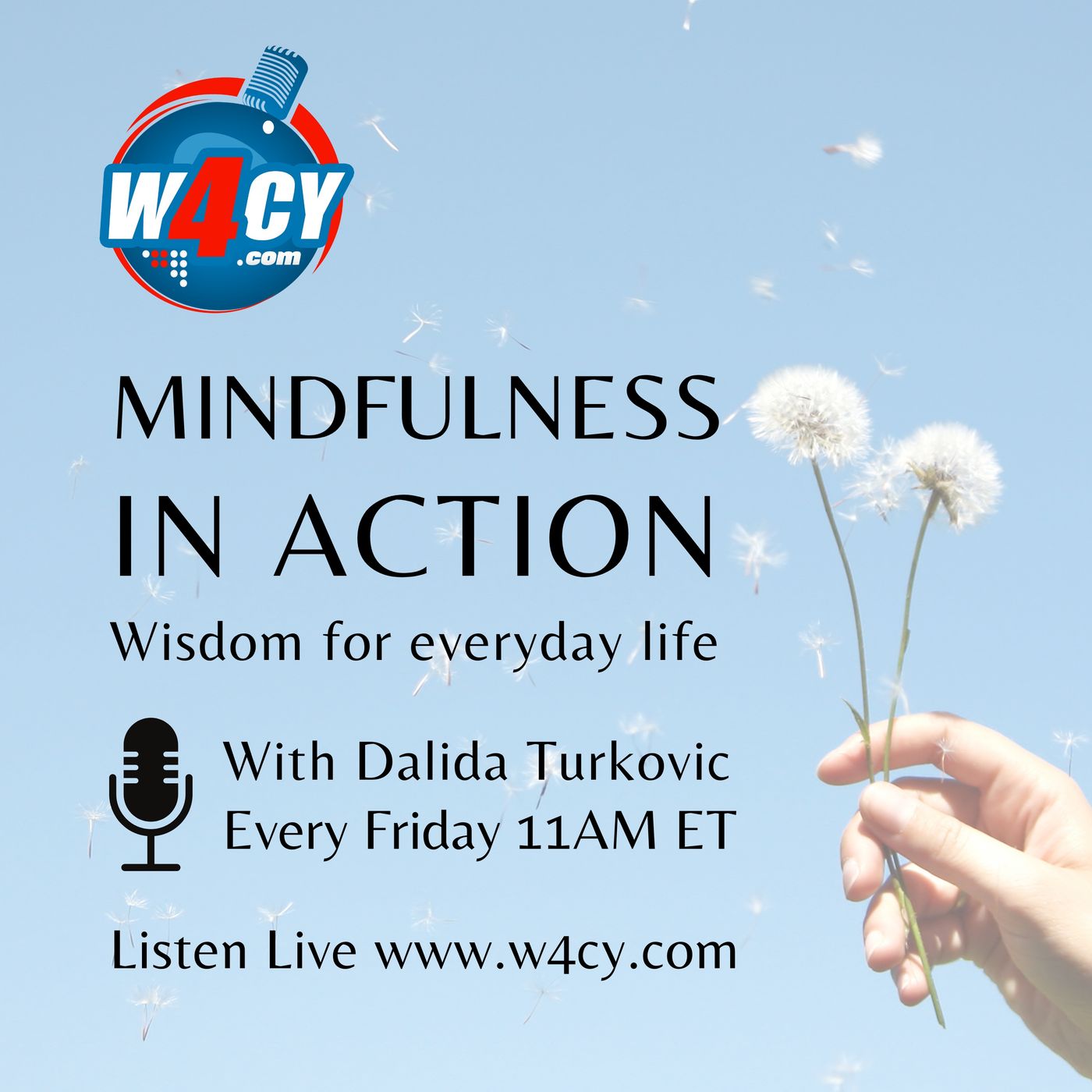 Mindfulness in Action cover art