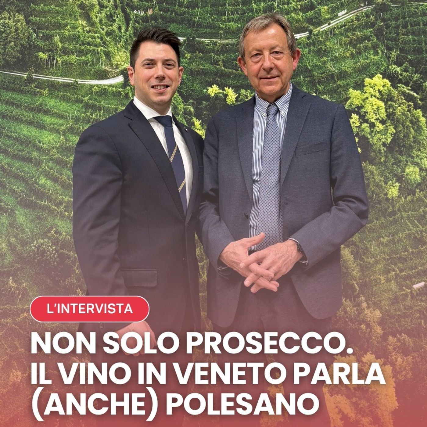 Non solo prosecco. Il vino in Veneto parla (anche) polesano - con Michele Manca e Diego Tomasi | L'INTERVISTA episode artwork