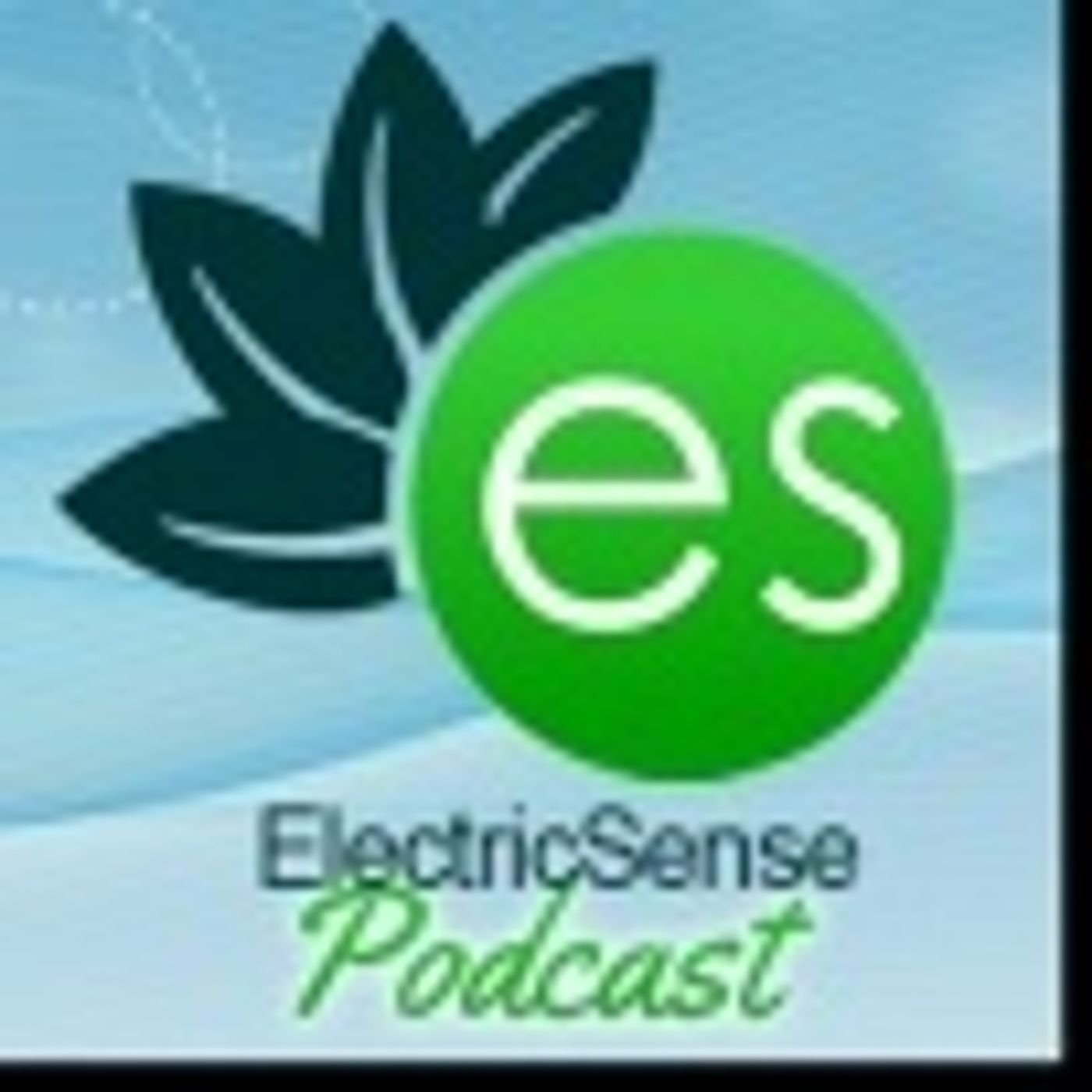 ElectricSense\'s - EMF Health Show