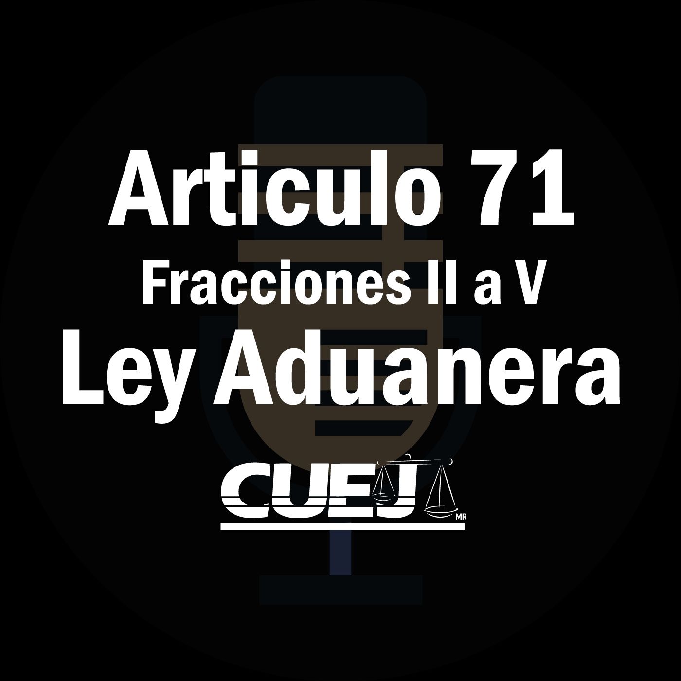 Audio Ley Aduanera