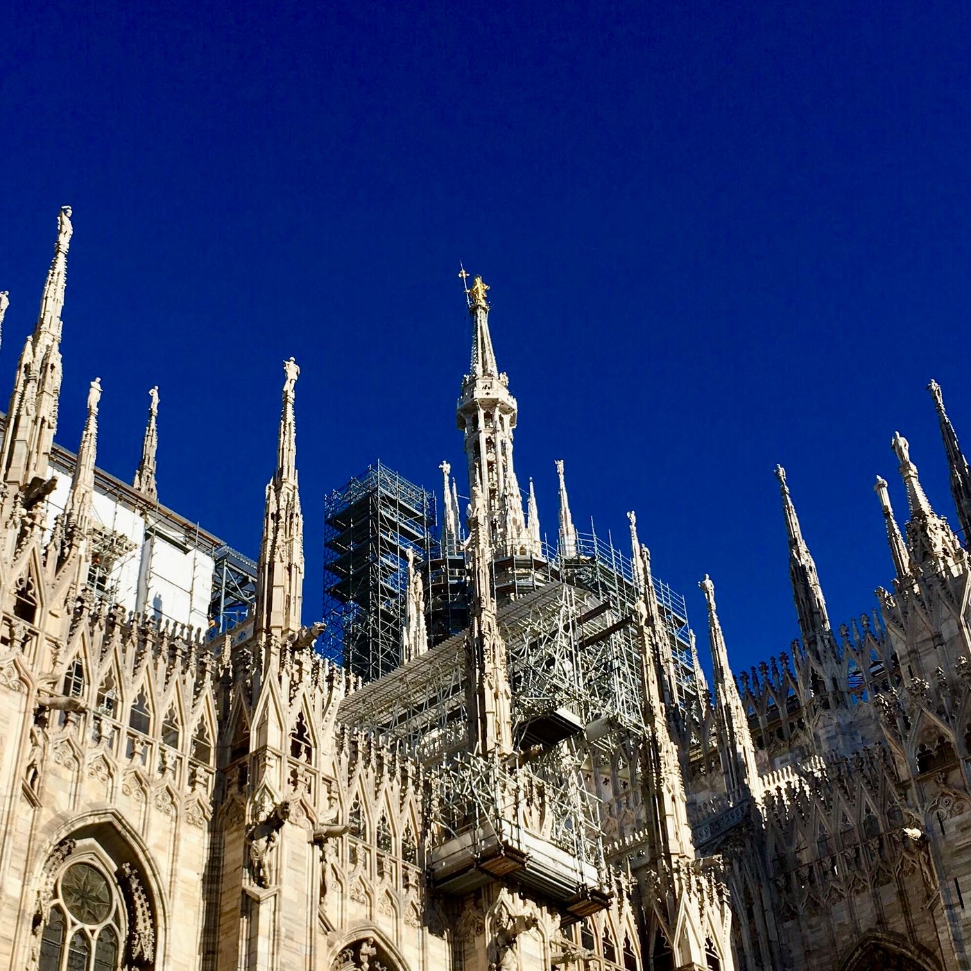 La pulizia della chiesa (edificio e persone). Omelia 211017 episode artwork