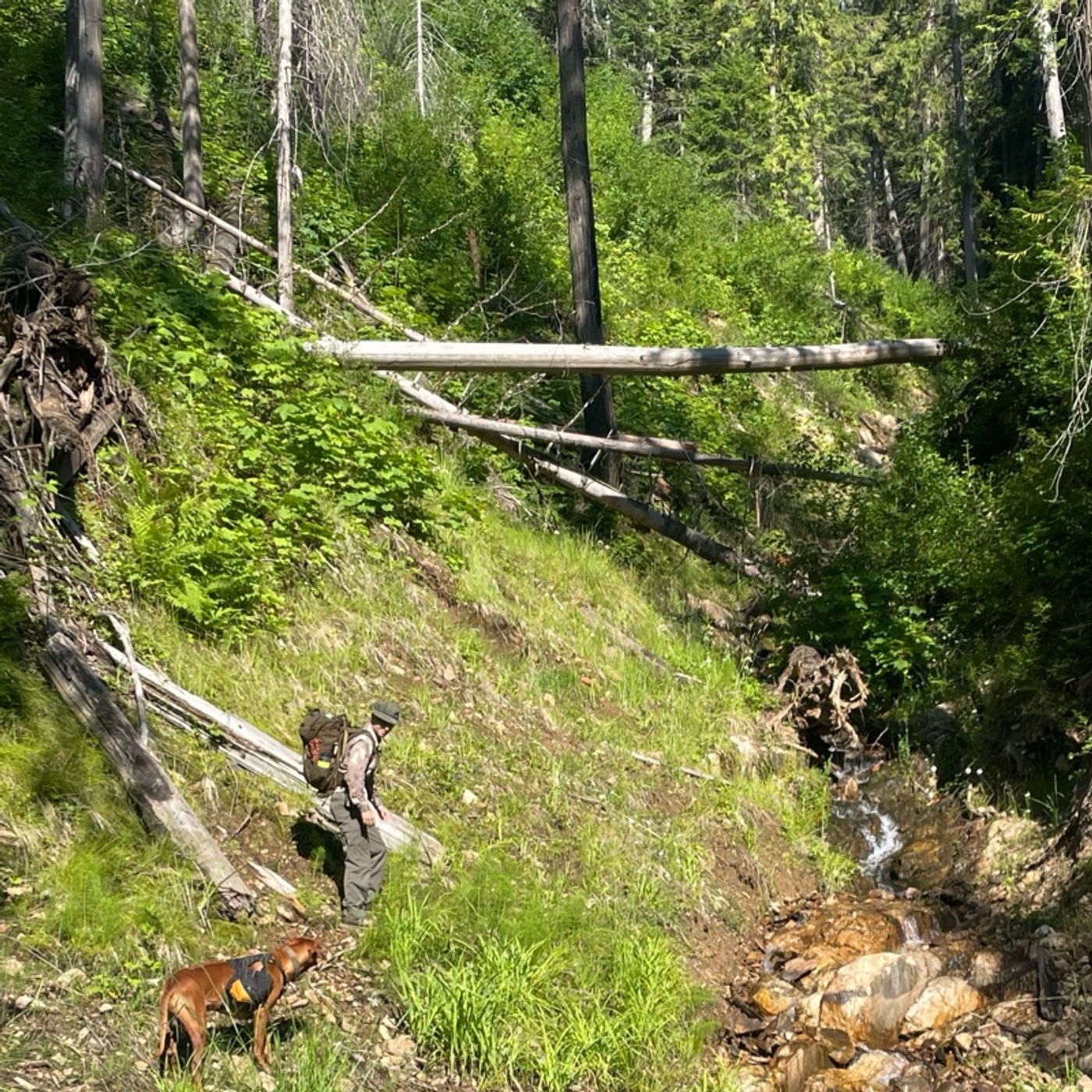 Mountain Man Skills for the Modern Man