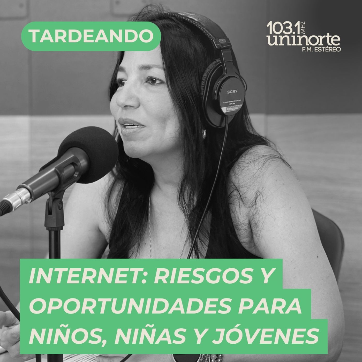 La Pizarra ::  Internet: oportunidades y riesgos para niños, niñas y jóvenes. episode artwork