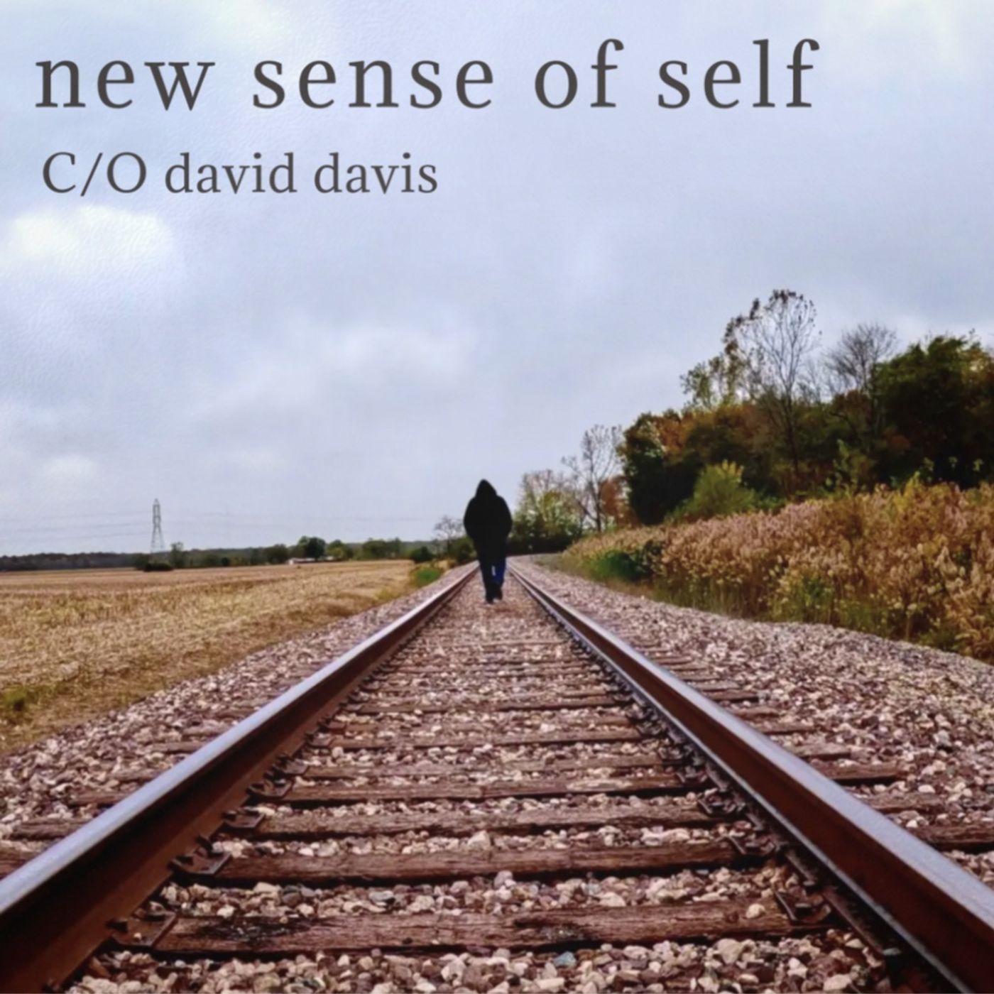 E:241 -  C/O david davis "New Sense of Self" part 2