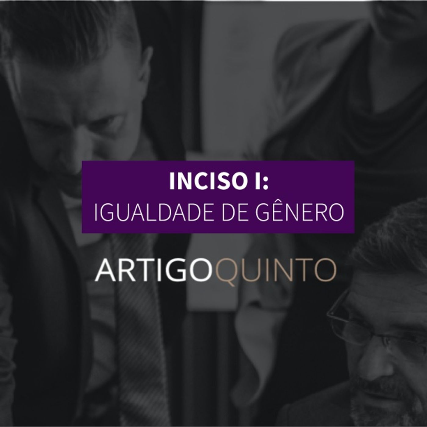 Inciso I: Igualdade de Gênero - Artigo 5º