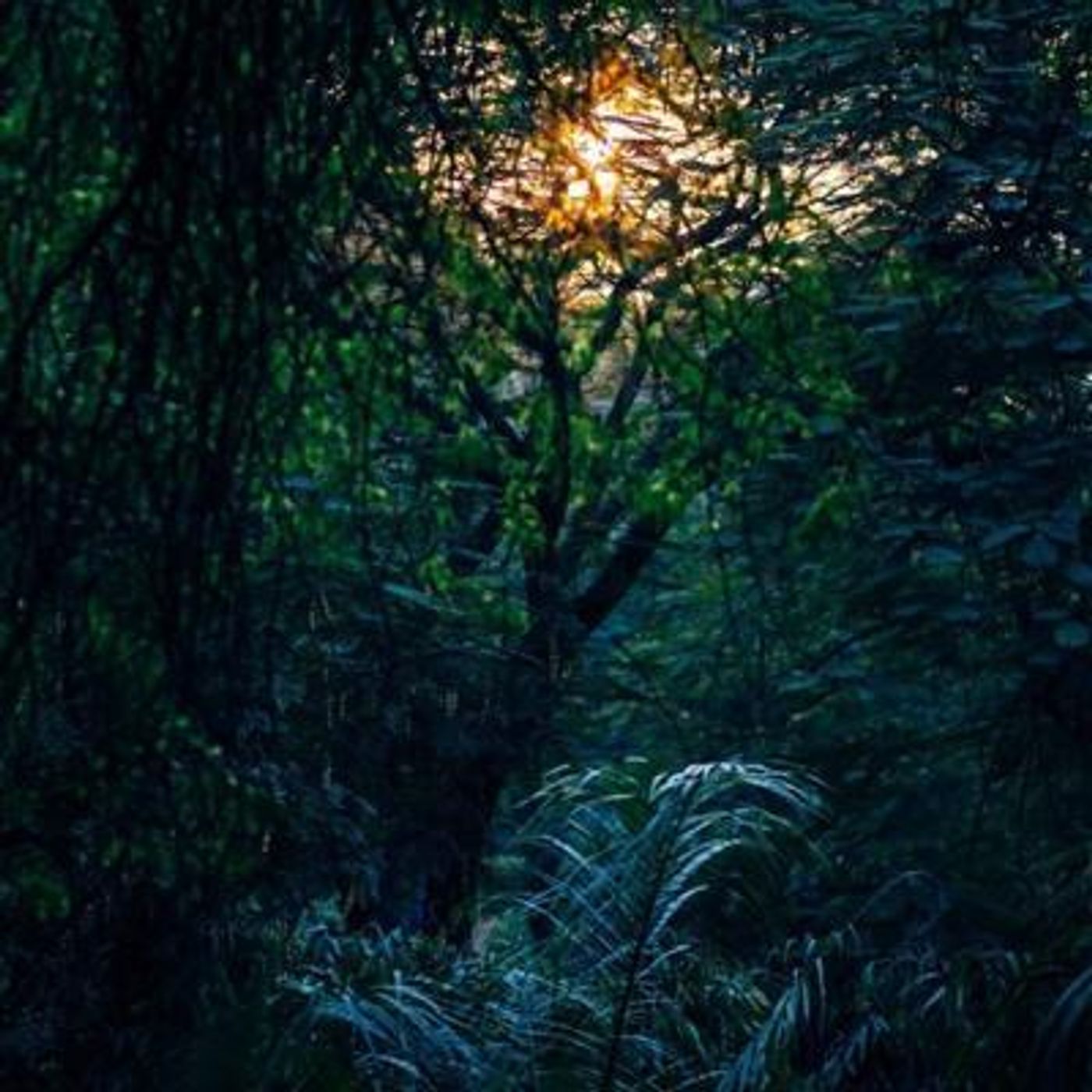 Sleep Sounds by Tmsoft