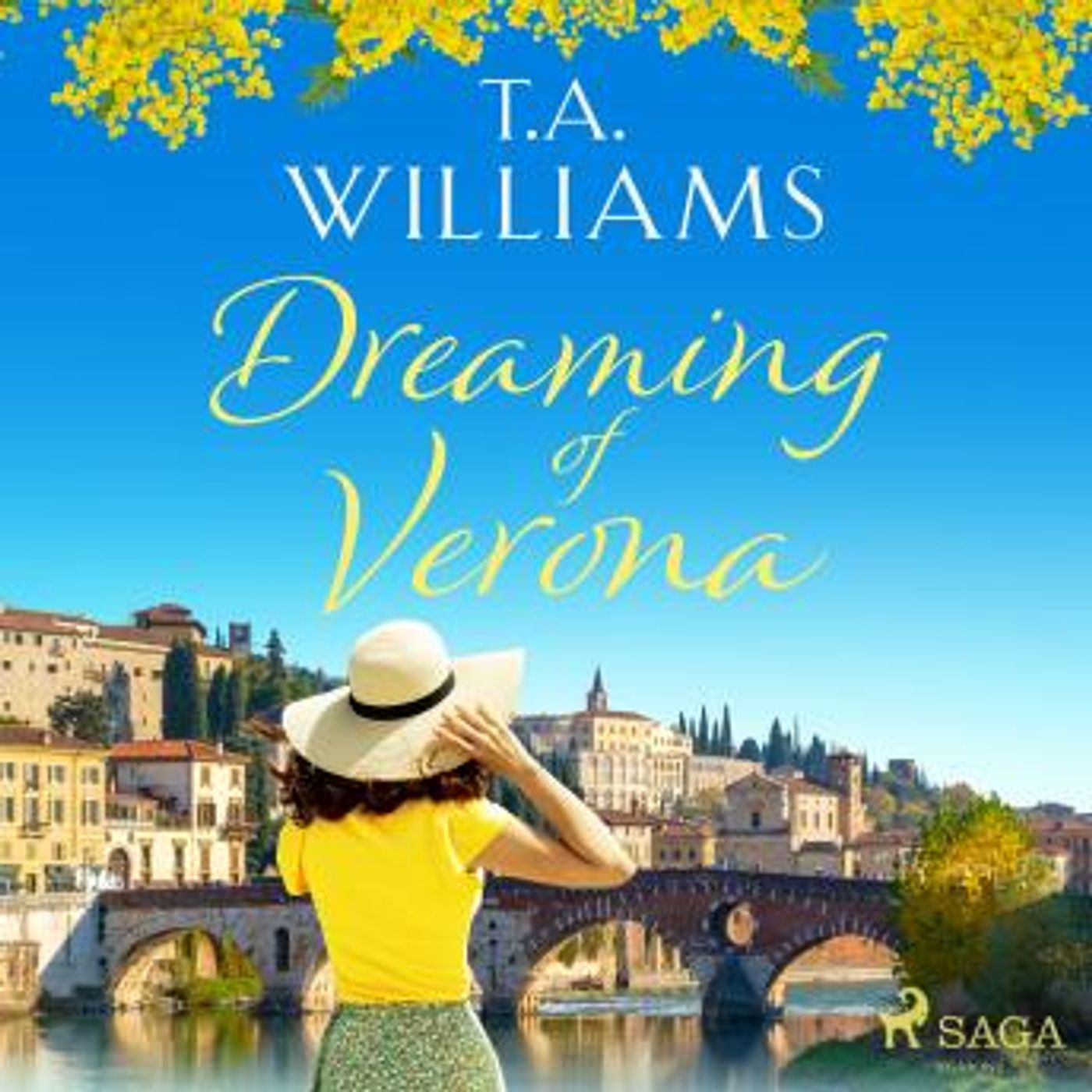 Dreaming of Verona by T.A. Williams episode artwork