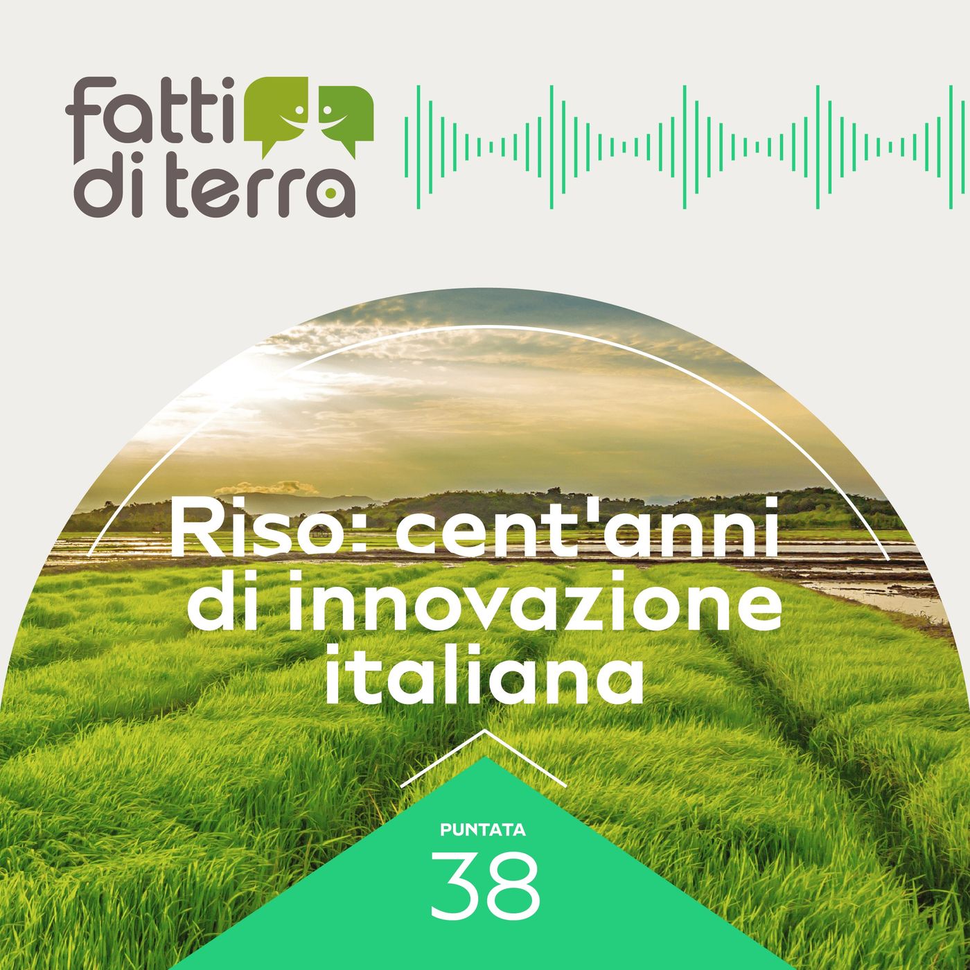 Fatti di terra
