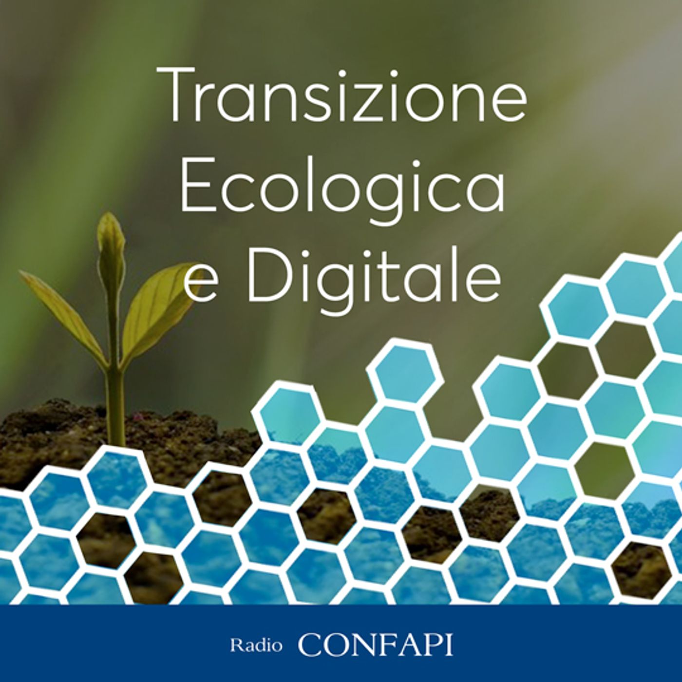 Intervista a Angelo Bruscino - Transizione Ecologica e Digitale - 16/11/2022