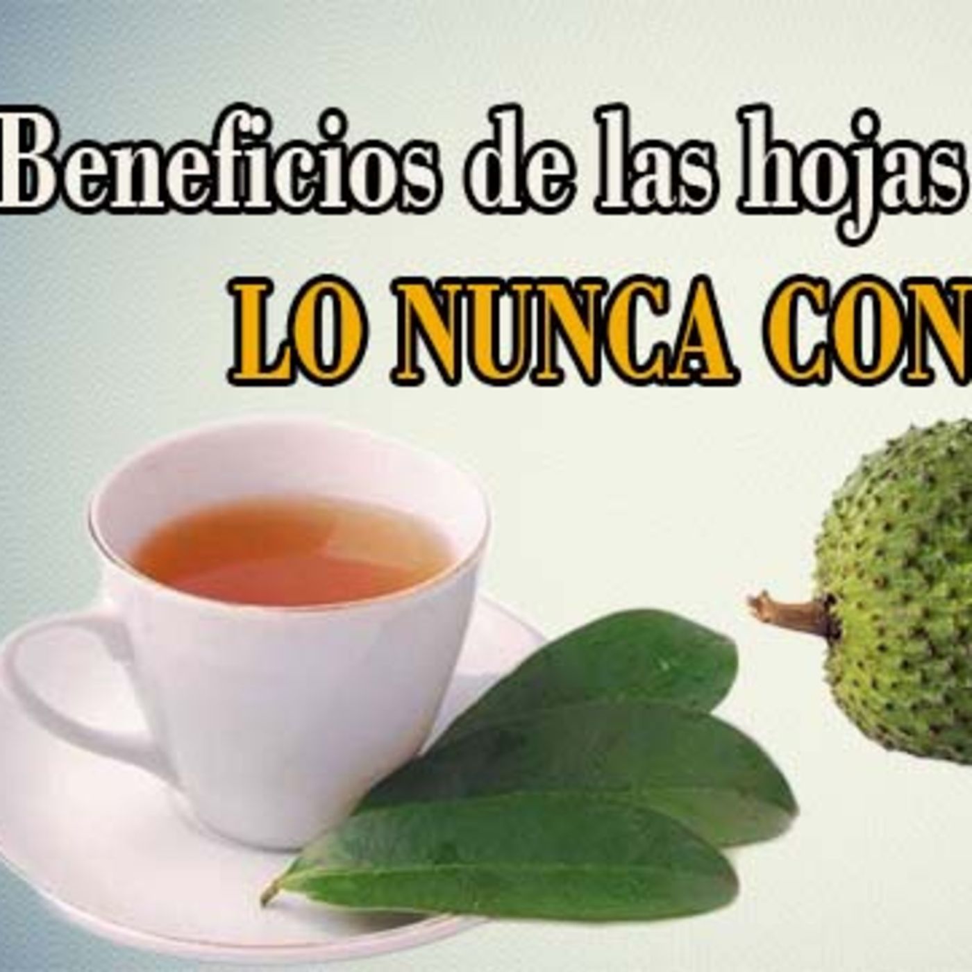 La RADIO Del NELE