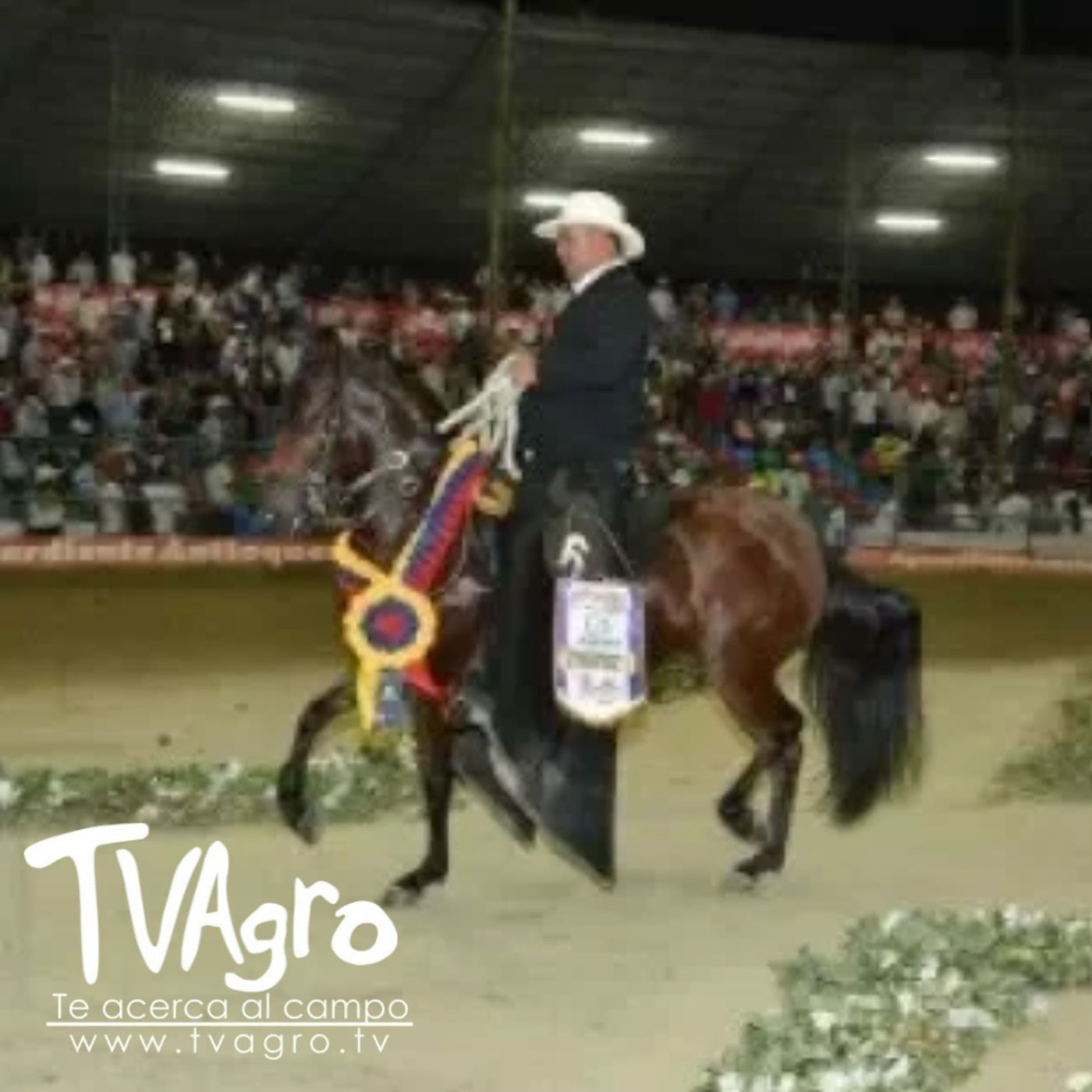 TV AGRO