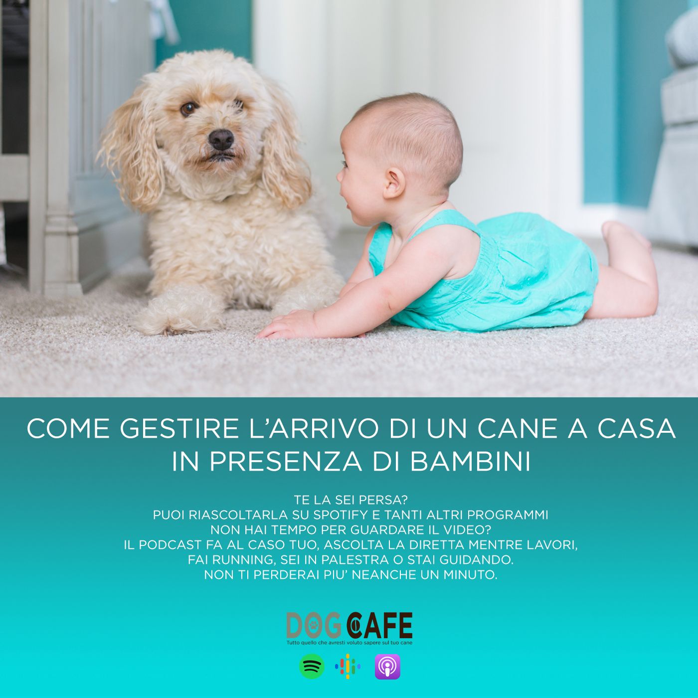 Dog Cafe Podcast