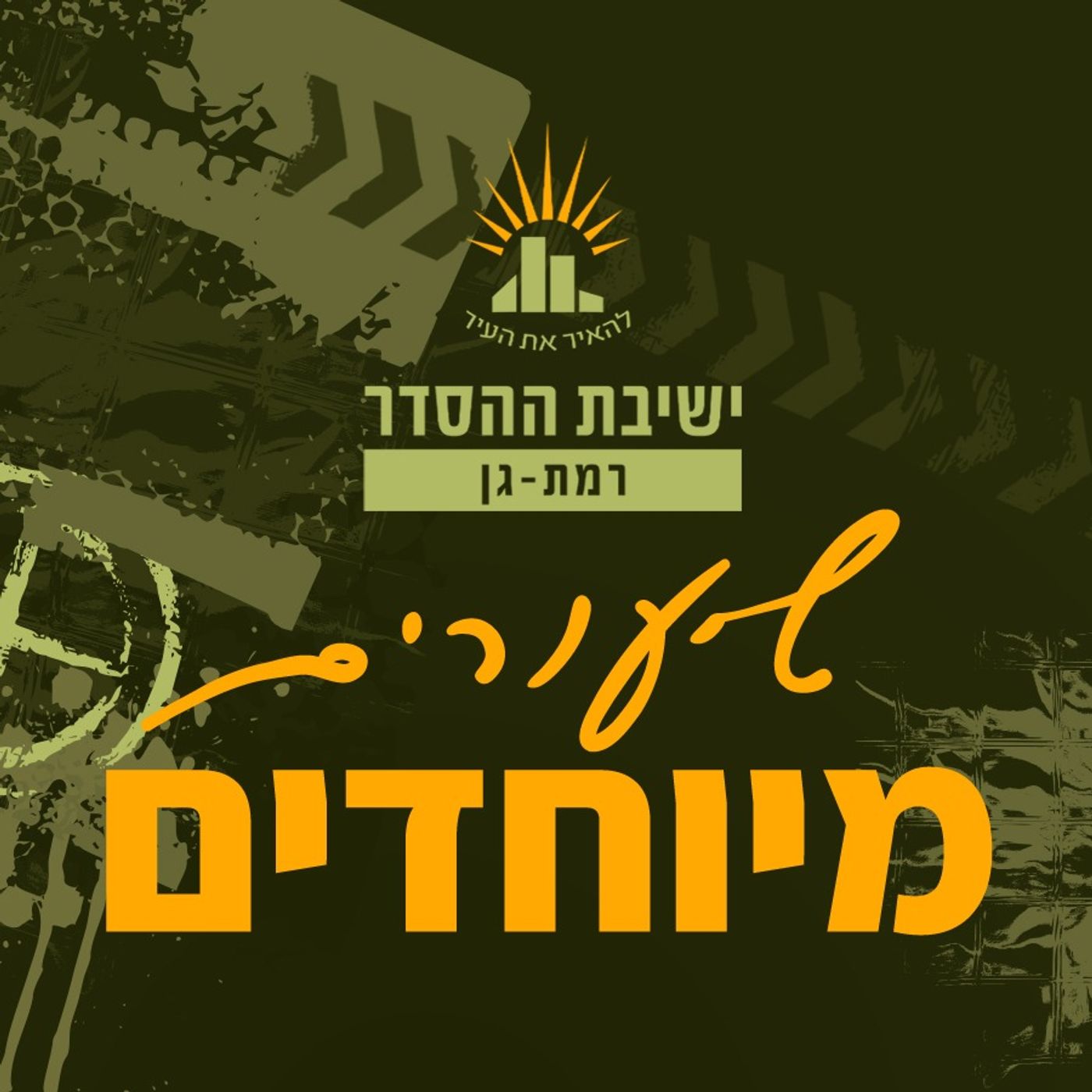 שיעורים מיוחדים