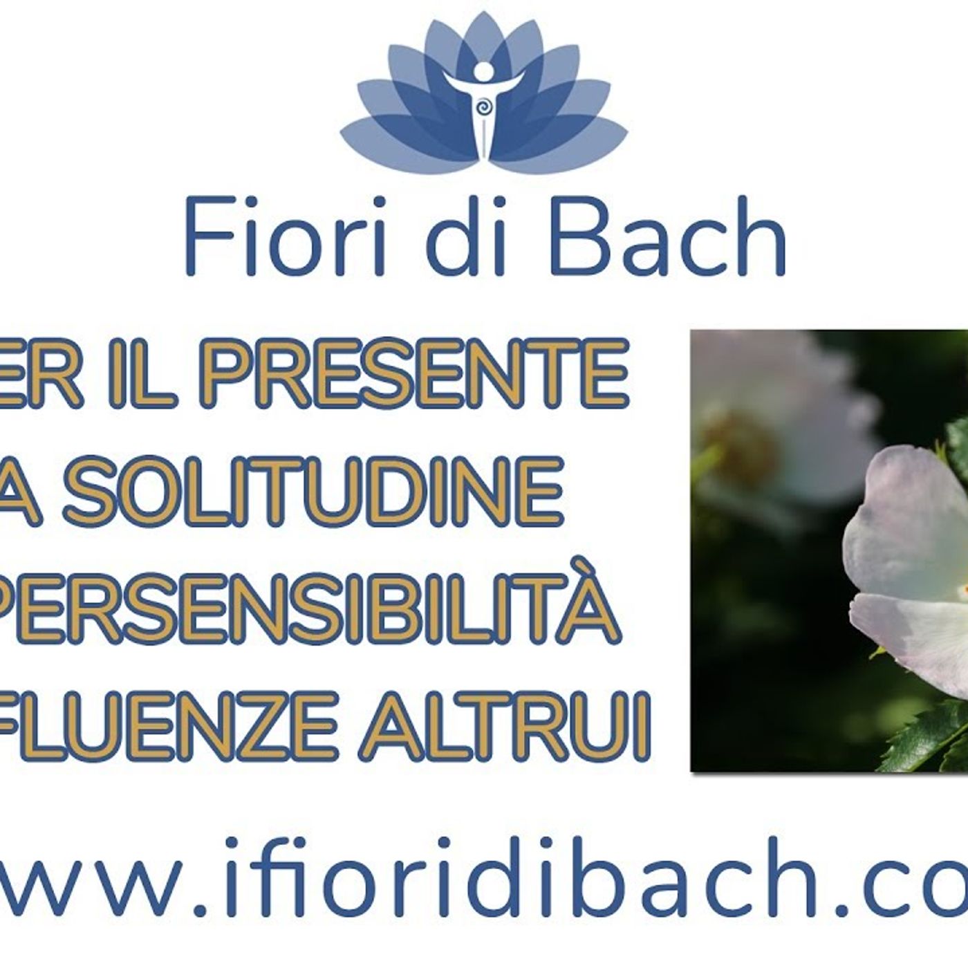 Elenco Fiori di Bach parte seconda episode artwork