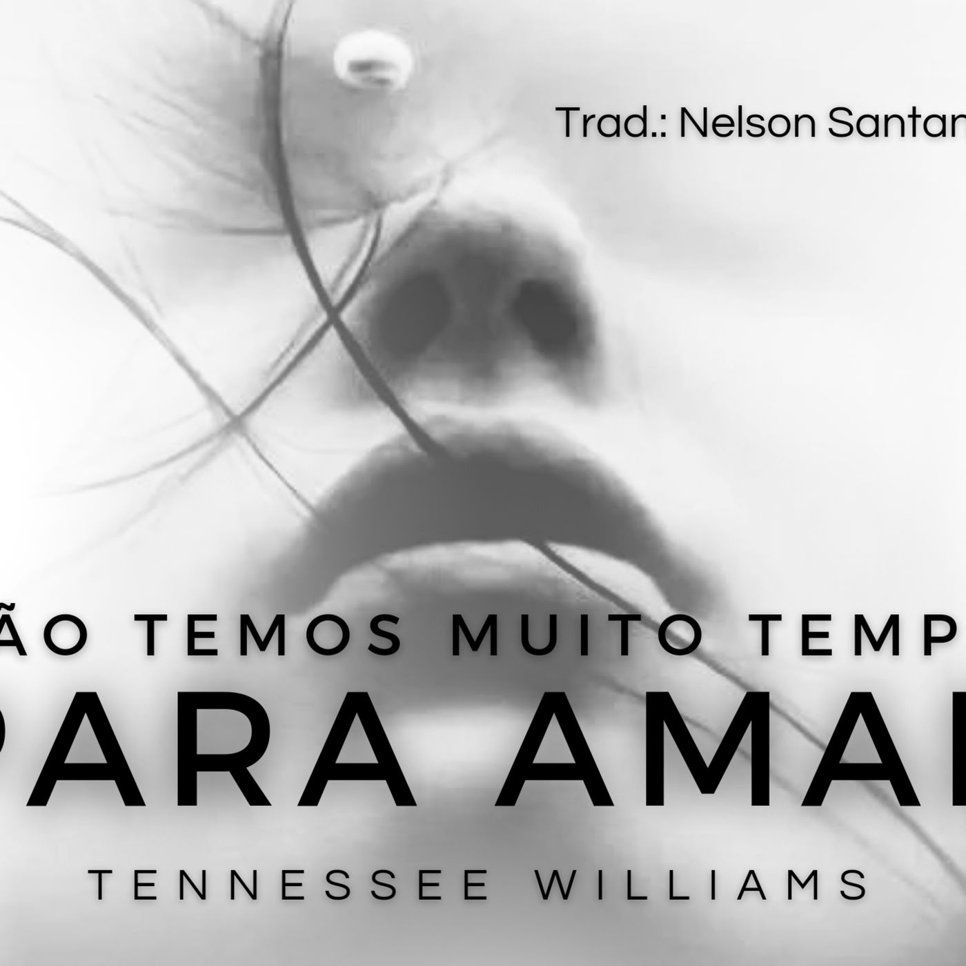 Adalberto Nascimento | Poesia e Recitação