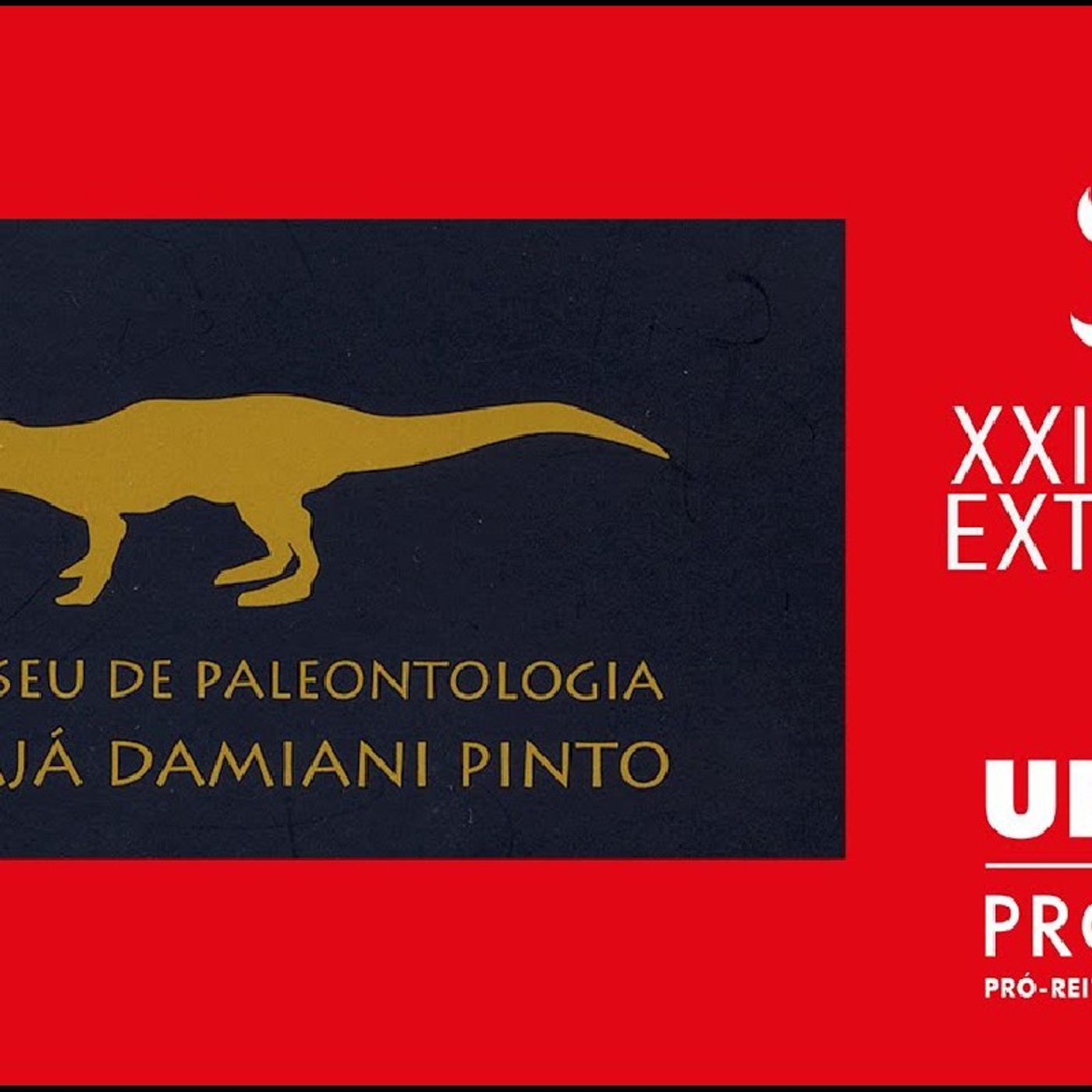 Percorrendo museus pelo Brasil