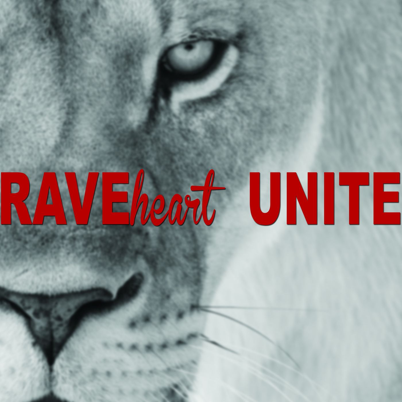 BraveArise 2016 | Register Today
