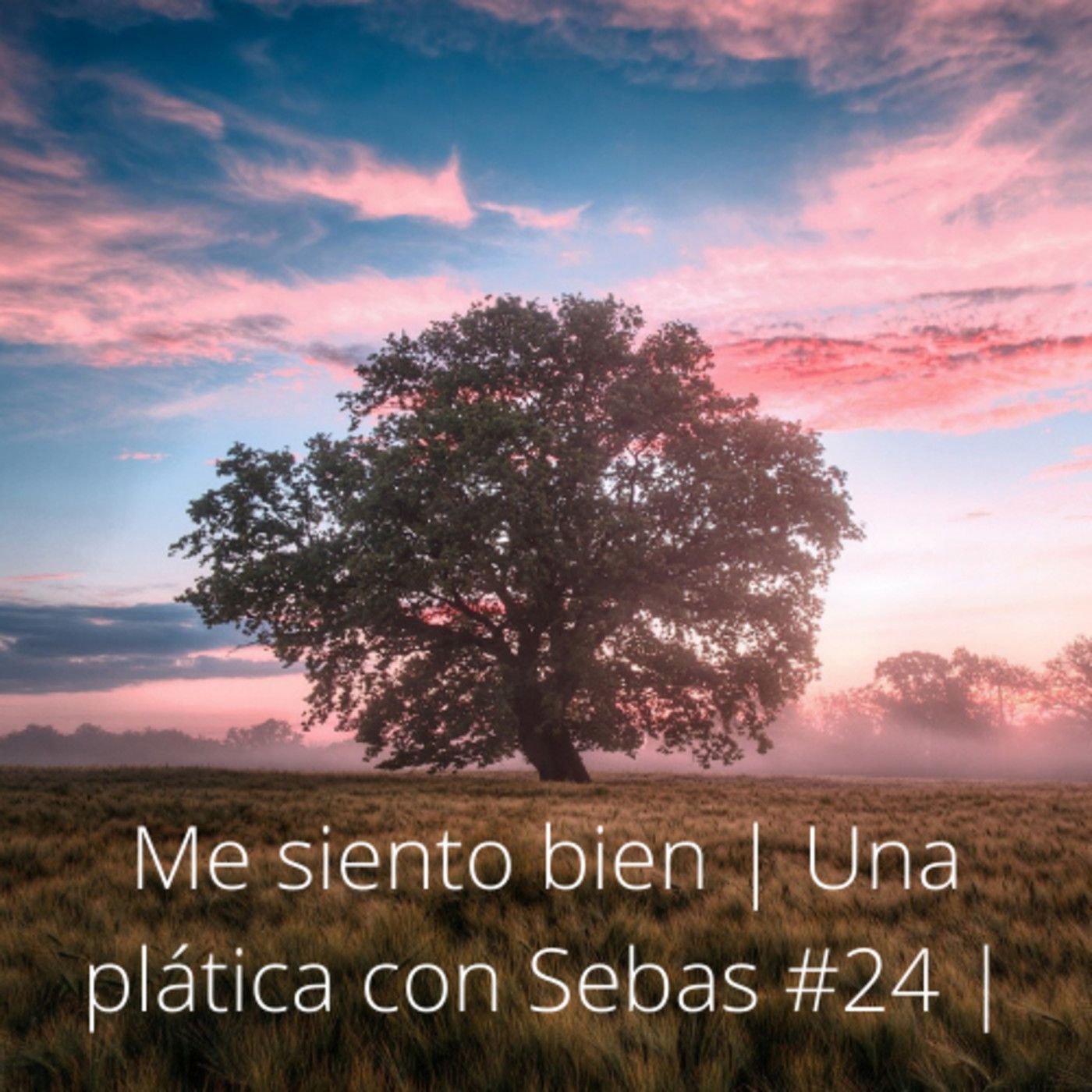 Una platica con Sebas