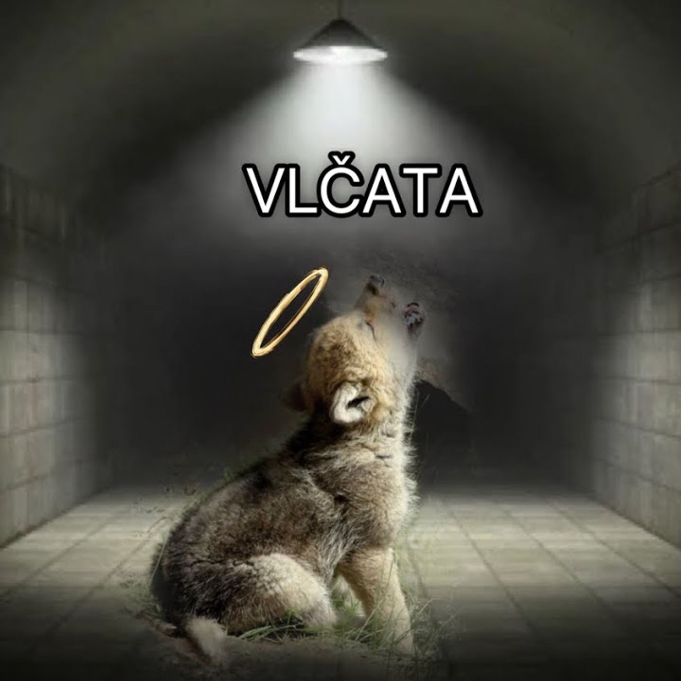 KUŘIMSKÁ SEKTA: Vlčata — Jakub Jahl - Světová náboženství a sekty on Odysee cover