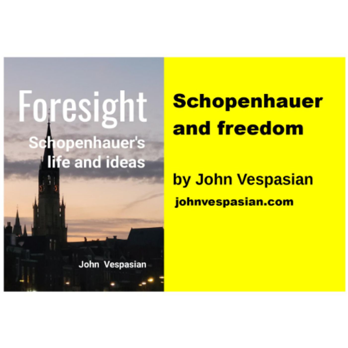Schopenhauer and freedom episode artwork