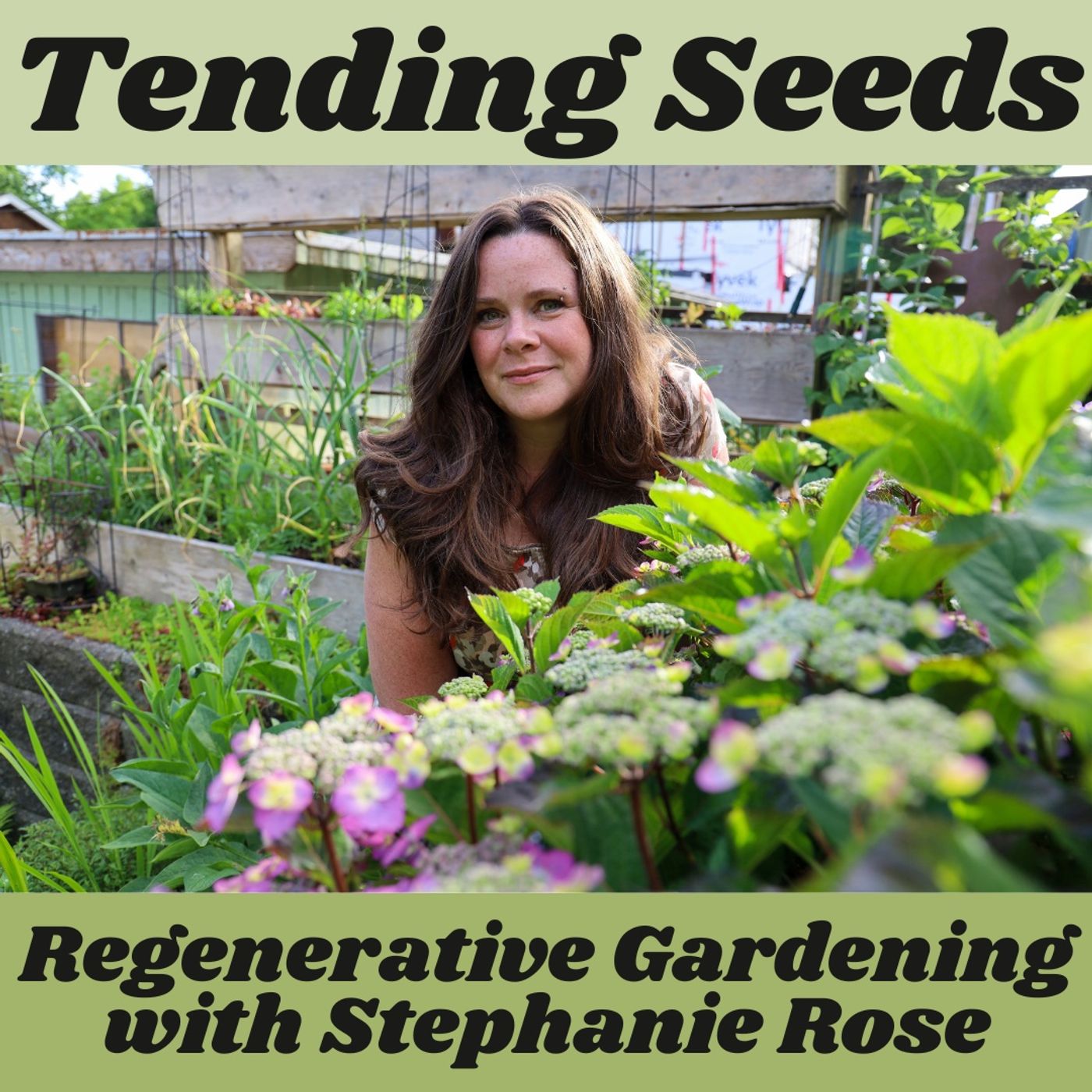 Tending Seeds: Adventures in Gardening