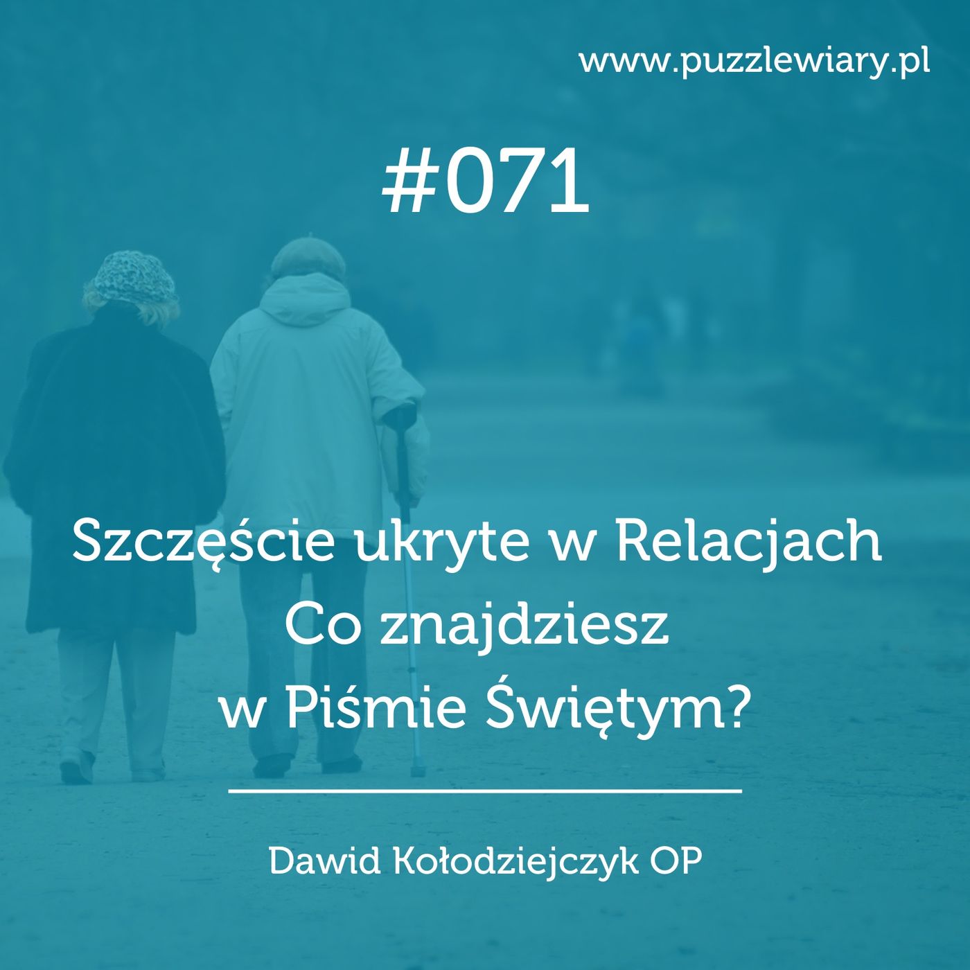 Puzzle Wiary