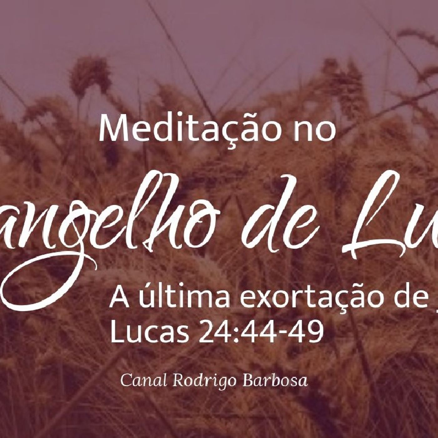 Rodrigo Barbosa