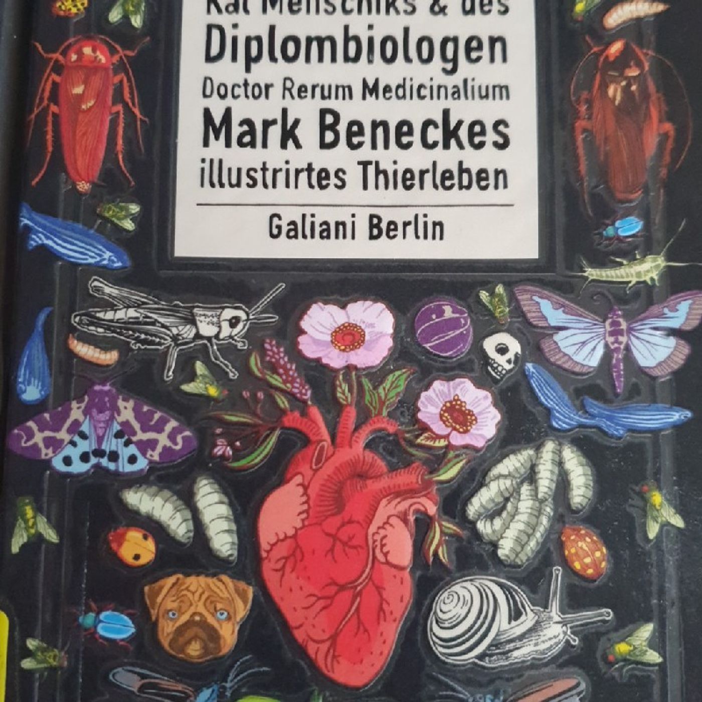 LesBar im Stern-Zimmer