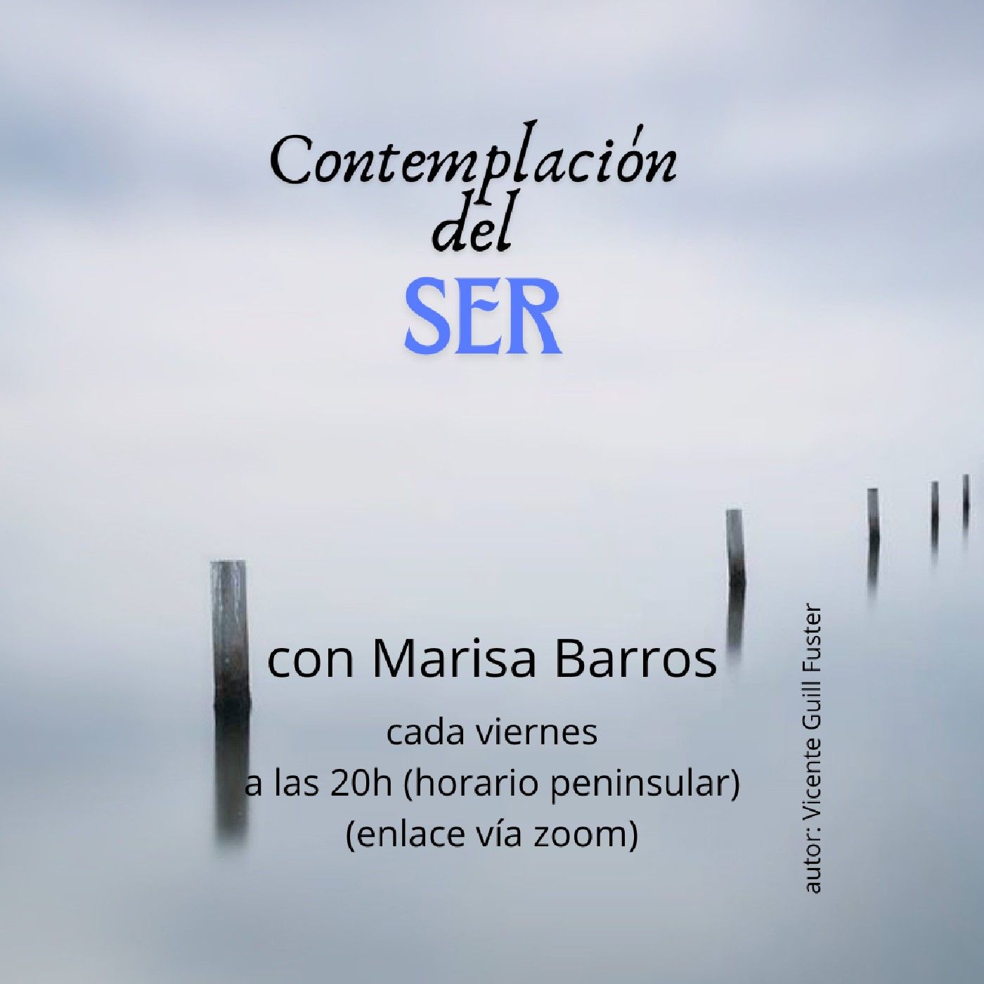 Contemplación del Ser de Marisa Barros