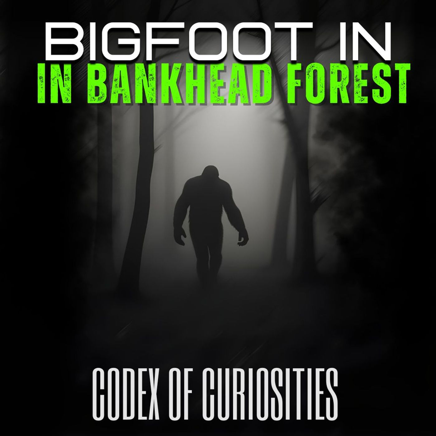 Codega\'s Codex of Curiosities