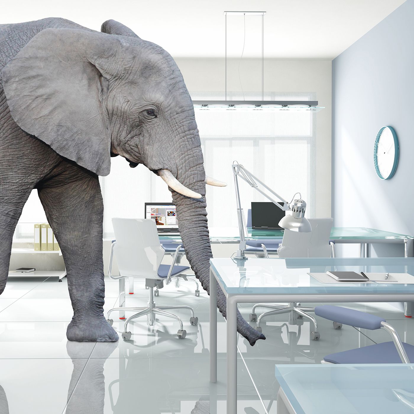 The Invisible Elephant