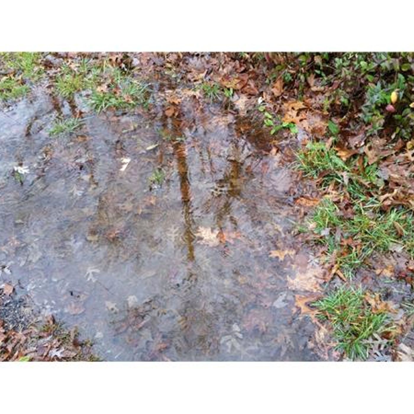 The SUNday Morning INspiration with C. Maria (Stagnant Waters) episode artwork