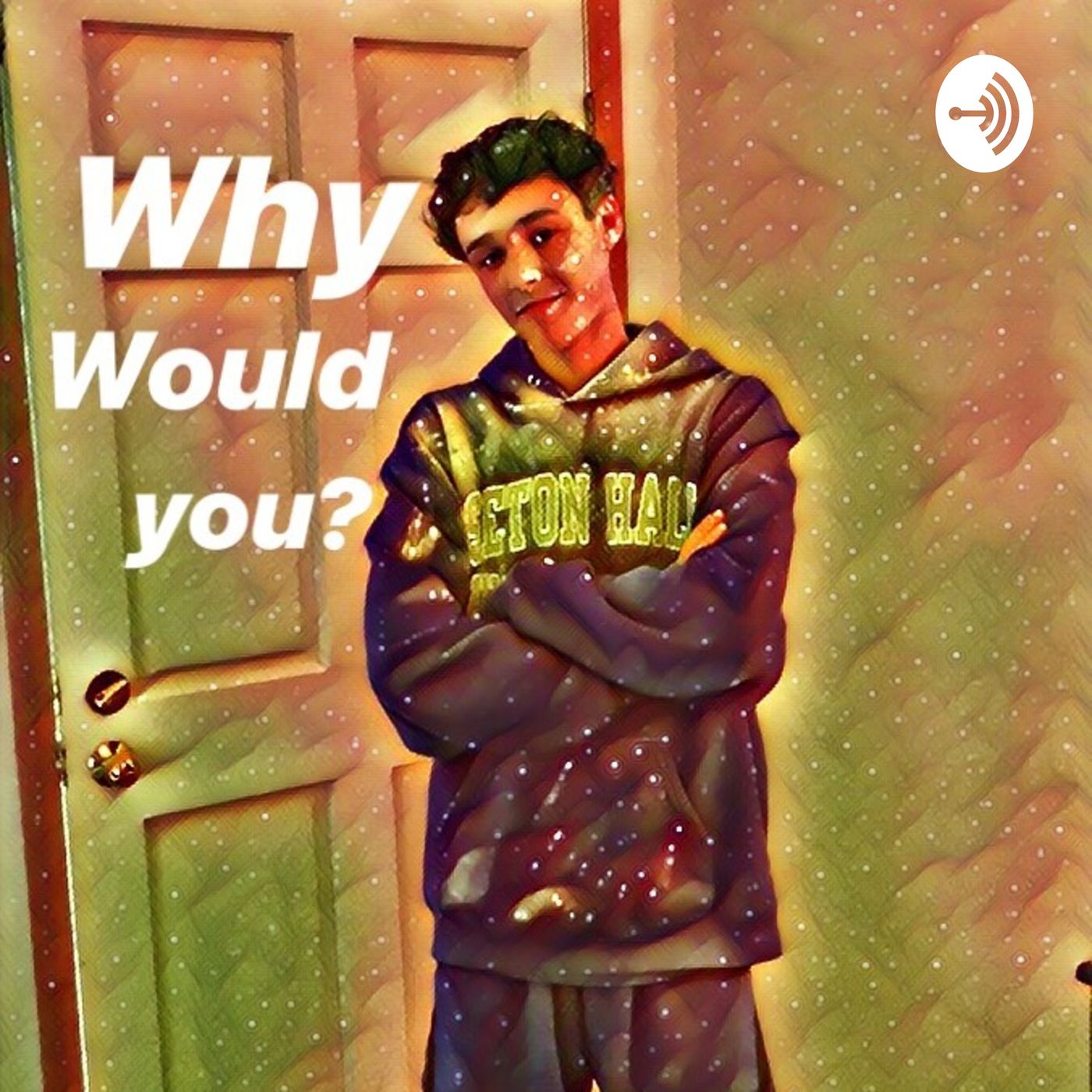 Why Would You