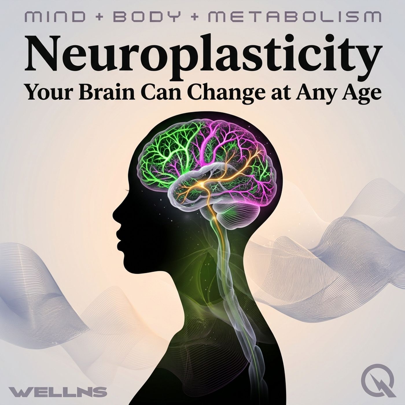 Neuroplasticity