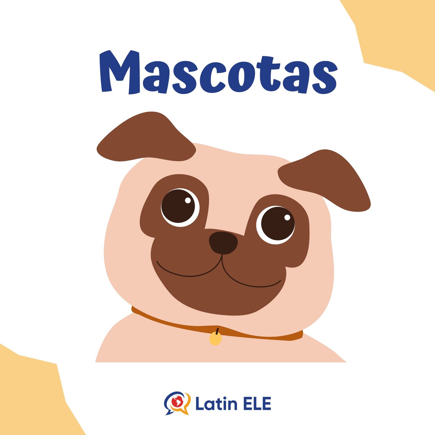 28. Mascotas 🐶😺