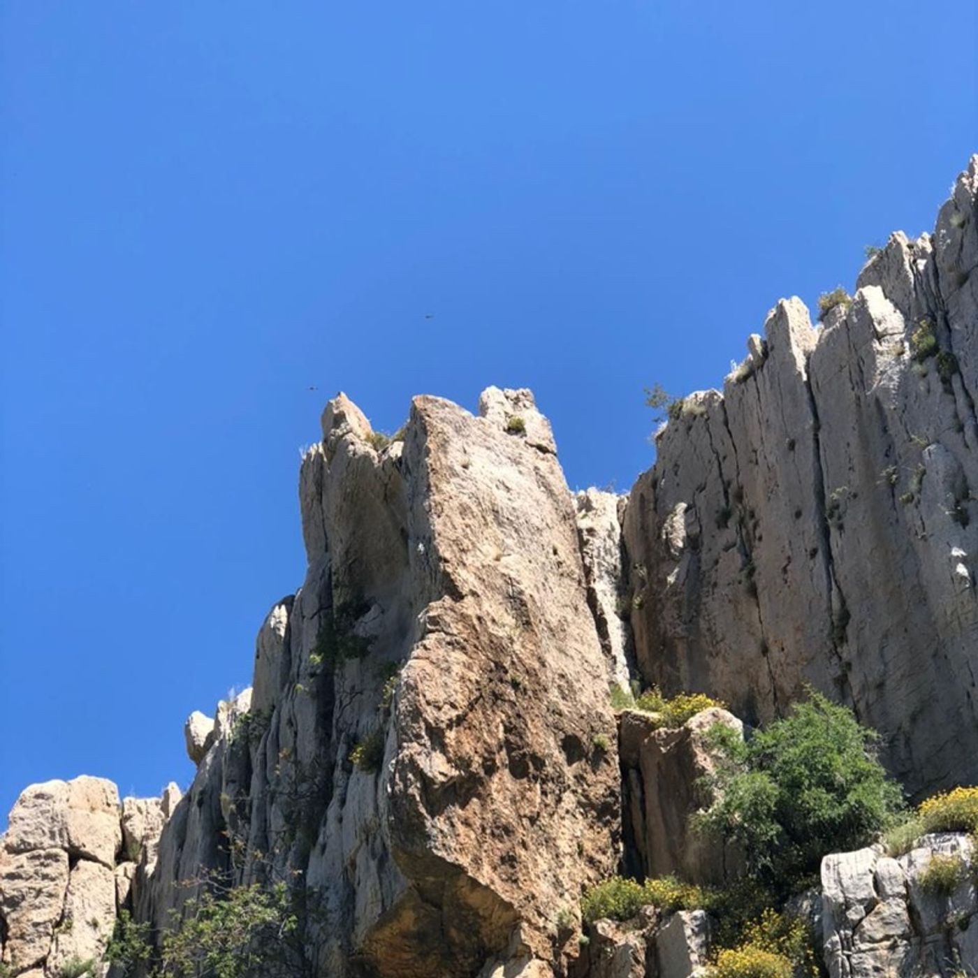 Passo dopo Passo