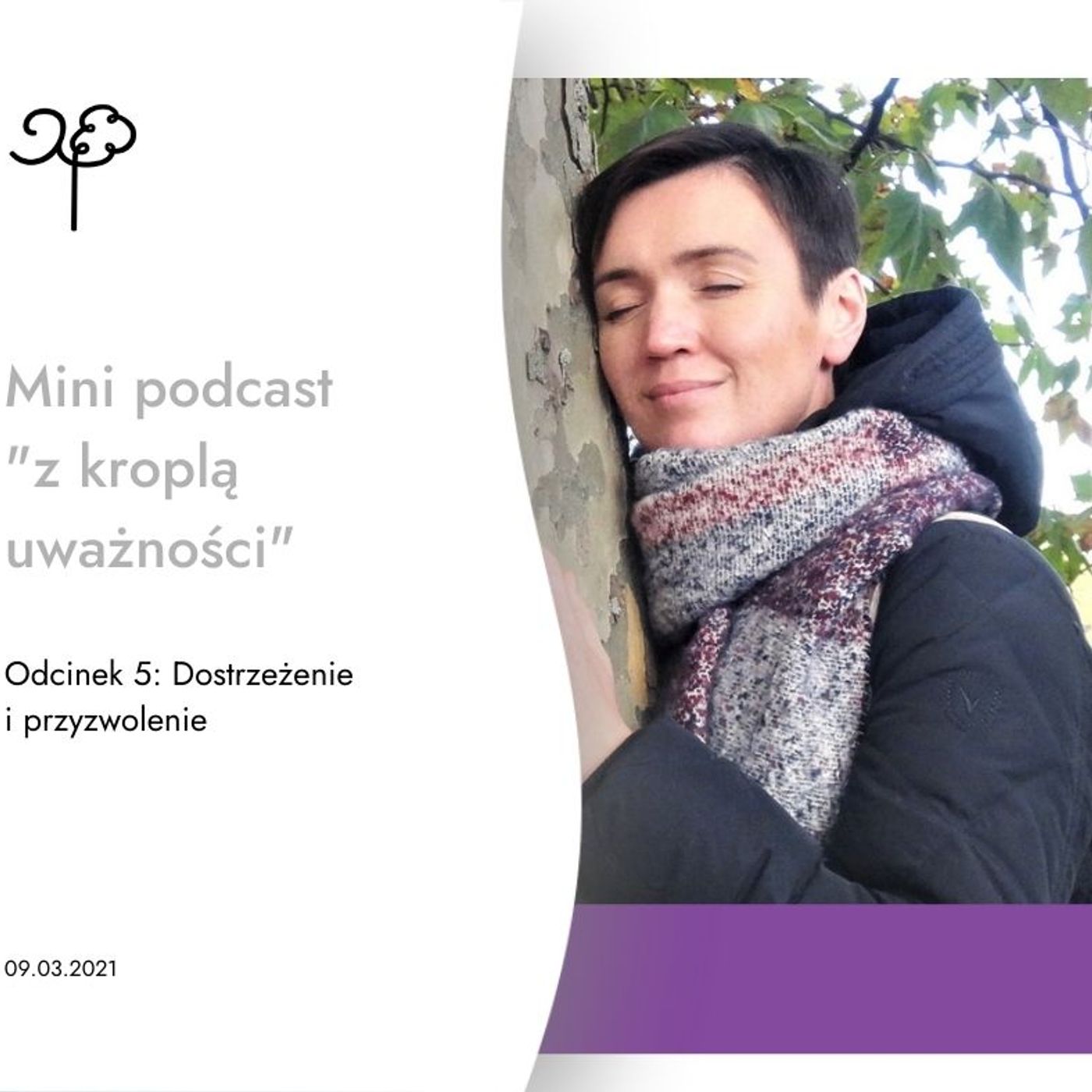 Mini podcast \