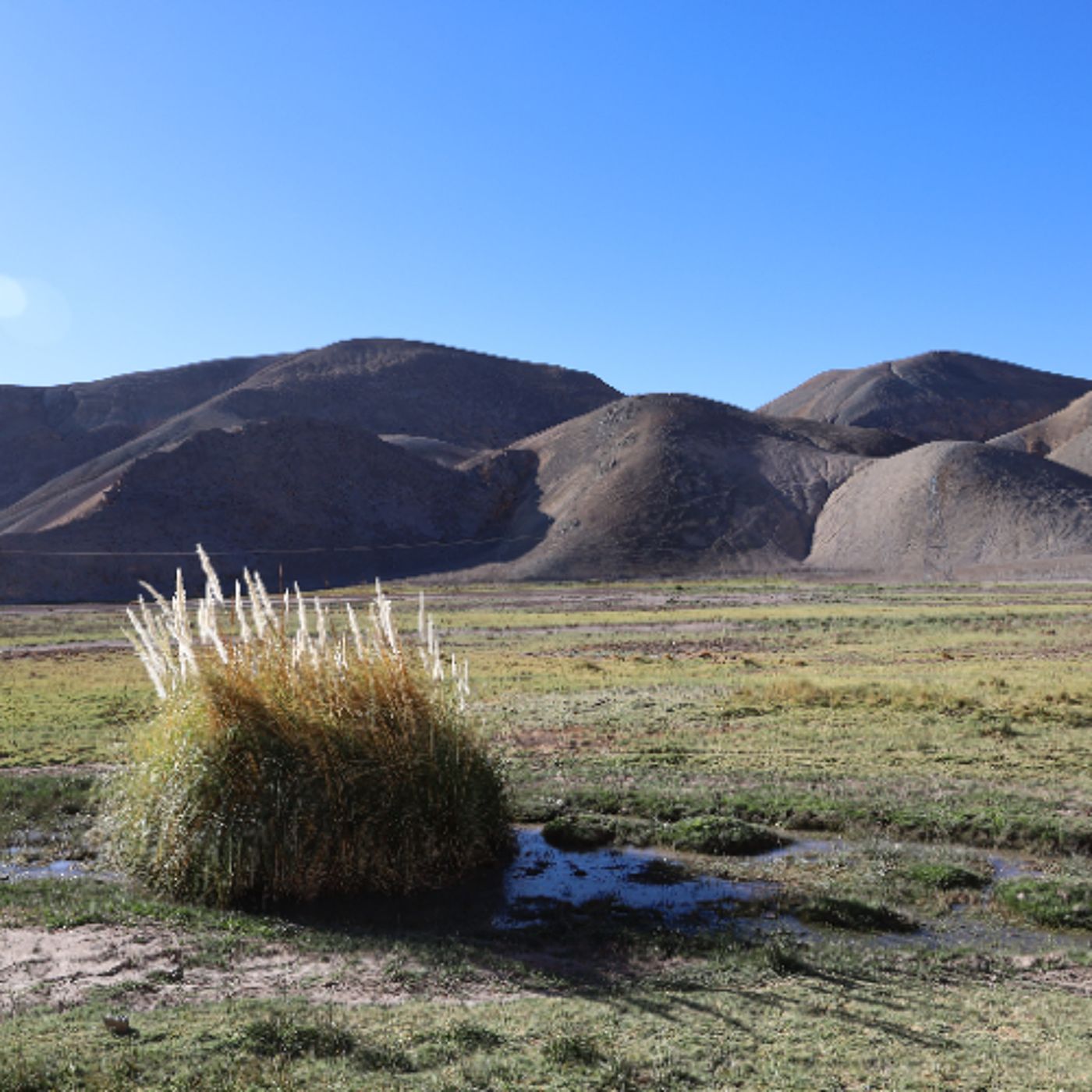 Ckonicks: sonidos de una abuela